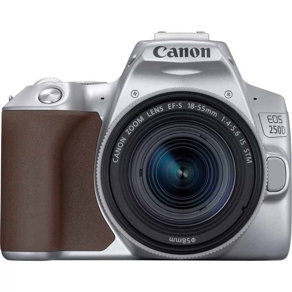 Canon EOS 250D (18-55 STM) SILVER (A)